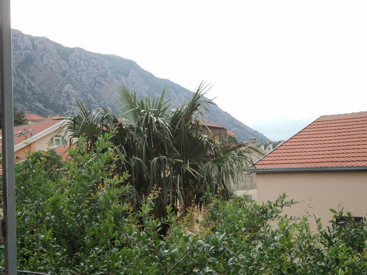 Apartments Skaljari Kotor Buitenkant foto