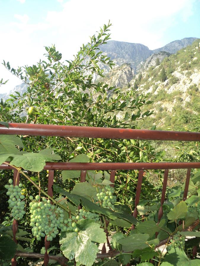 Apartments Skaljari Kotor Buitenkant foto