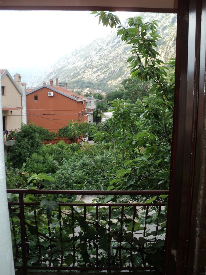 Apartments Skaljari Kotor Buitenkant foto