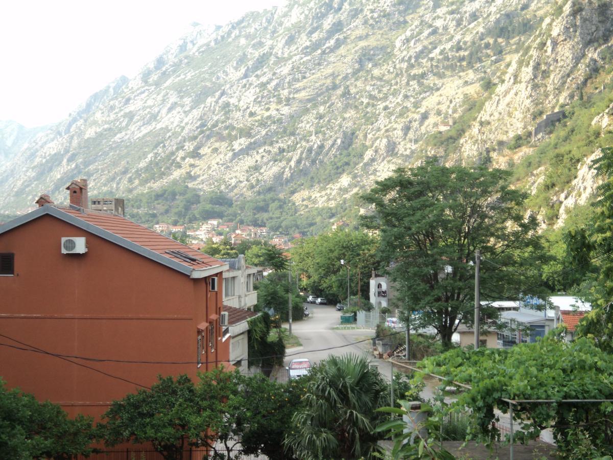 Apartments Skaljari Kotor Buitenkant foto